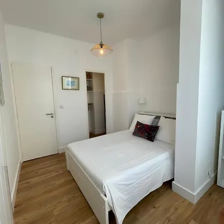 Neuf, 2 Chambres, Climatise, Route Des Sanguinaires *