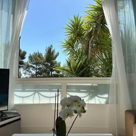 Neuf, 2 Chambres, Climatise, Route Des Sanguinaires Apartmán