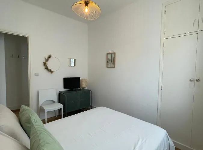 Neuf, 2 Chambres, Climatise, Route Des Sanguinaires *